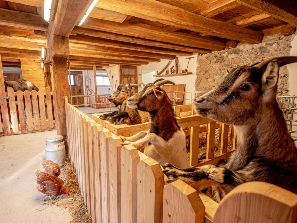 Zeiserhof Ramsau am Dachstein Buitenkant foto